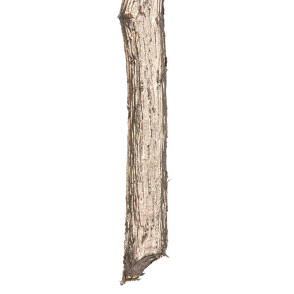 Vickerman 38" Artificial Champagne Needle Pine and Cone Spray. Includes 3 sprays per pack.