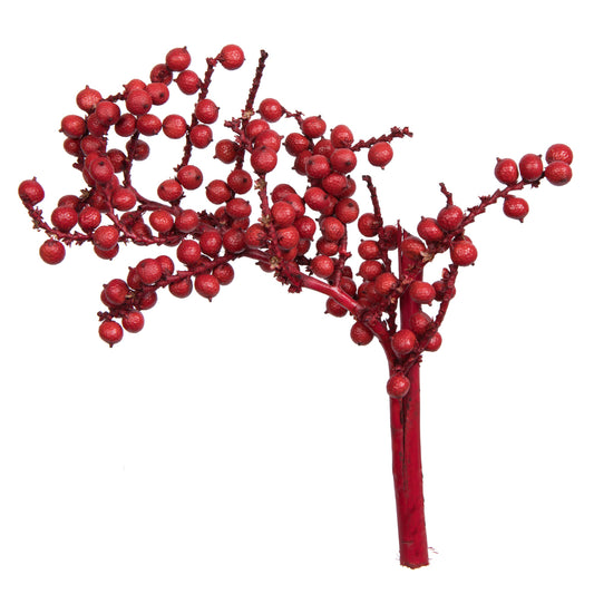 Vickerman Natural Botanicals 6" Canella Special Red Coated. Includes 25 pieces per unit.