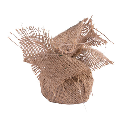 Vickerman 24" Angel Pine Artificial Christmas Tree Unlit