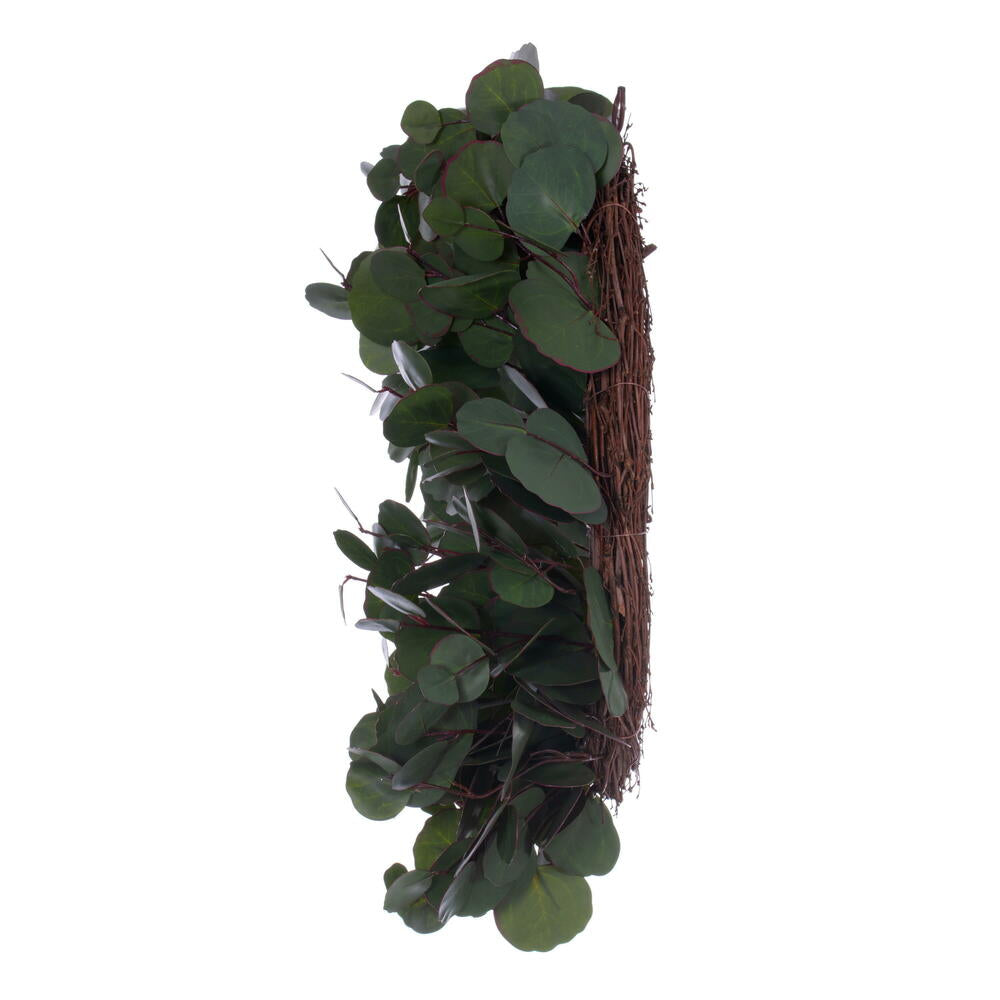 Vickerman 24" Artificial Green Silver Dollar Populus Eucalyptus Wreath