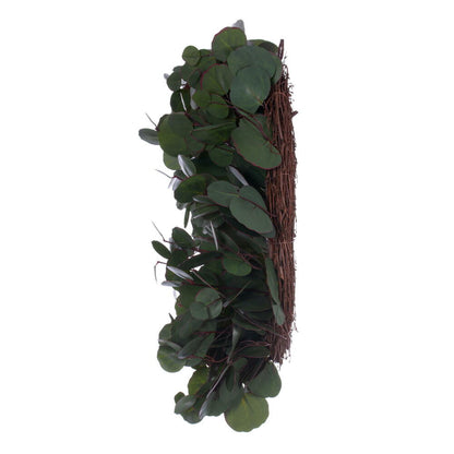 Vickerman 24" Artificial Green Silver Dollar Populus Eucalyptus Wreath