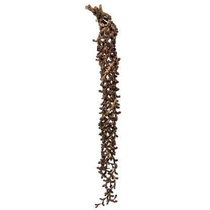 Vickerman 36-44" Natural Ladder Branches - XL curled 5 stems Dried