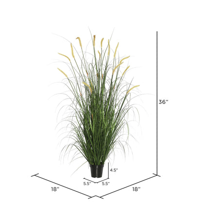 Vickerman 36" PVC Artificial Potted Green Foxtail Grass.