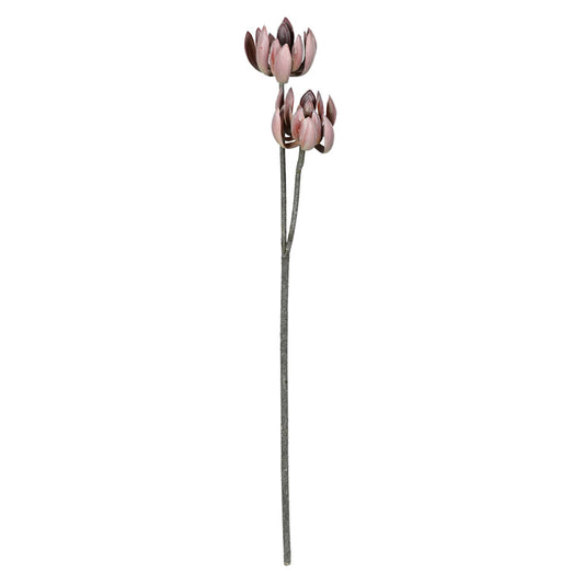 Vickerman 30" Artificial Rust Brown Echeveria Spray.