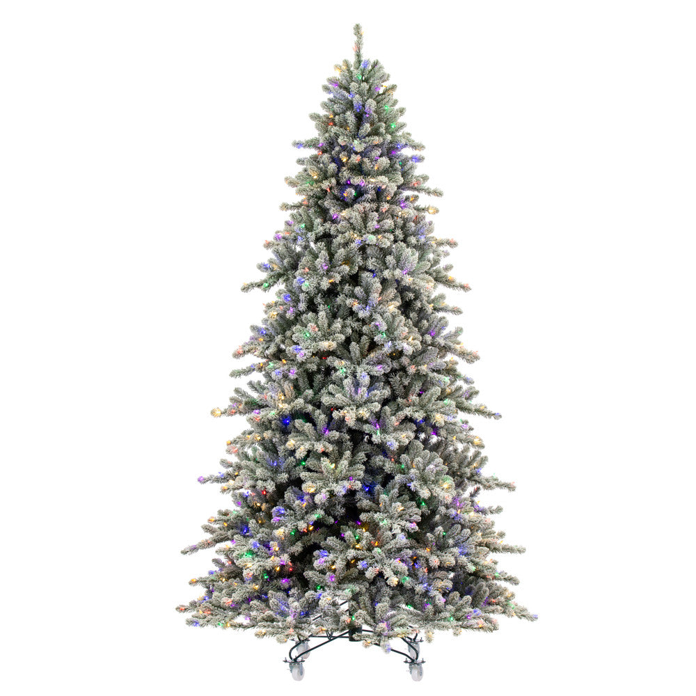 Vickerman 6.5' x 53" Flocked Bavarian Pine Artificial Pre-Lit Christmas Tree Multi-Colored Lights.