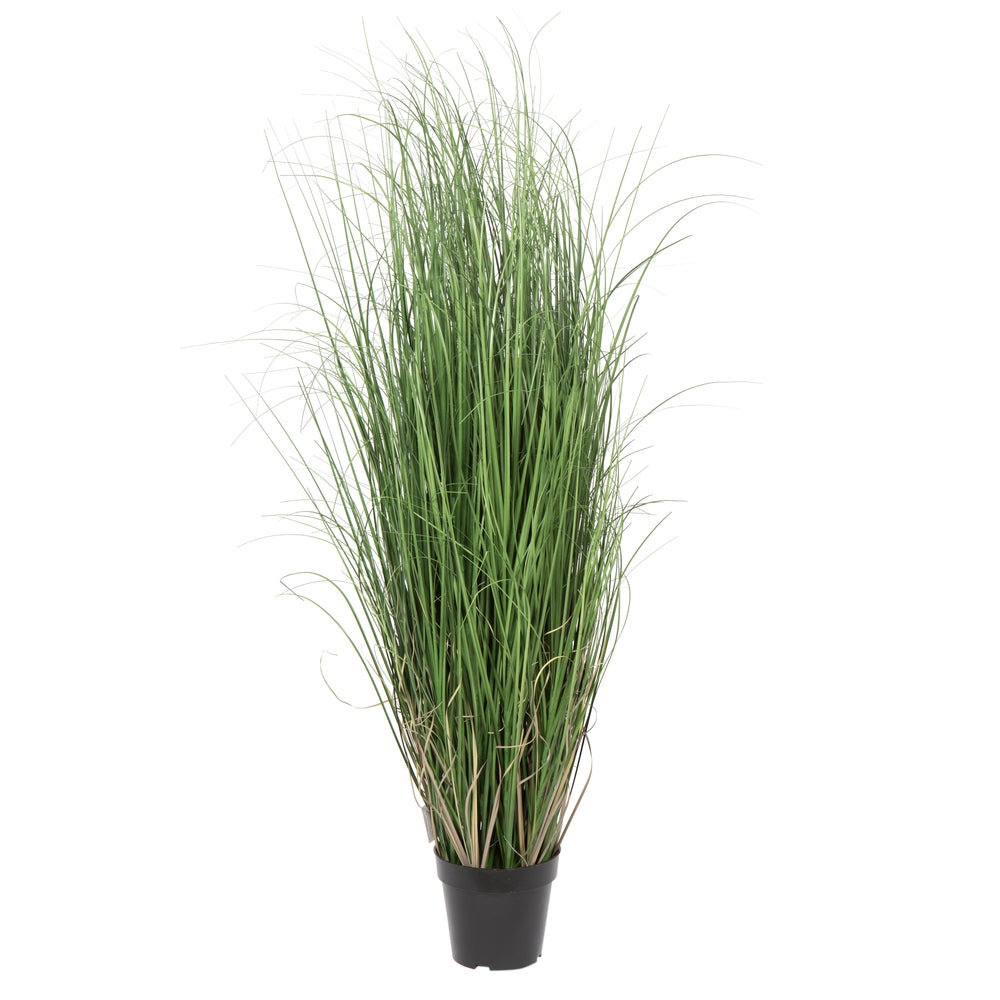 Vickerman 48" Artificial Potted Green Curled Grass.