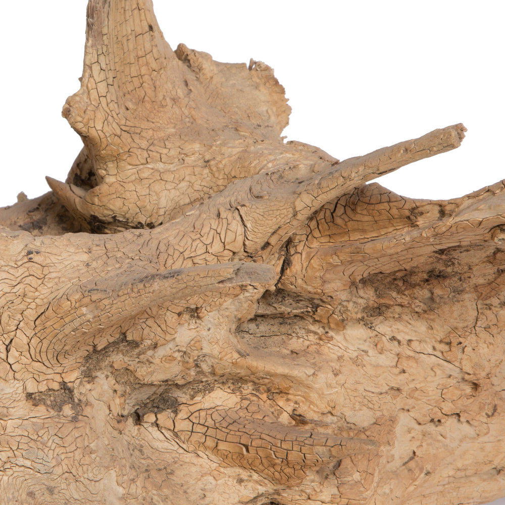Vickerman 17-24" Bleached Roots - Amazonian Large 1 piece Dried