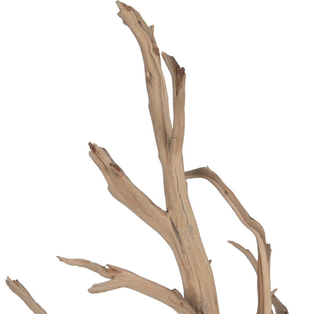 Vickerman 12" Starwood Manzanita Tree Branch
