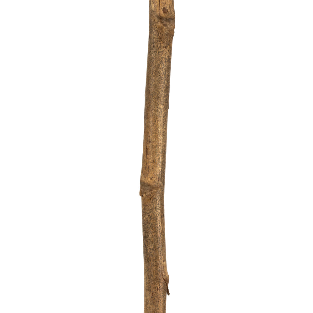 Vickerman 42-46" Natural Brown Cierus Stem. Includes 3 Stems Dried