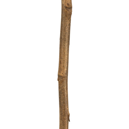 Vickerman 42-46" Natural Brown Cierus Stem. Includes 3 Stems Dried