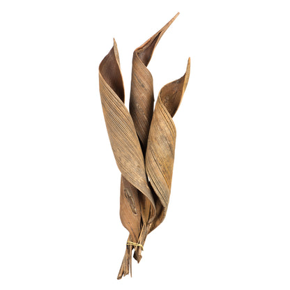 Vickerman 16 - 20" Natural Coco Paddle - Curled 6 Piece Bundle Dried