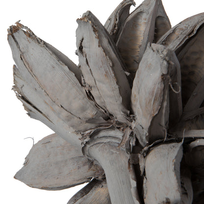 Vickerman 12-16" Gray Wash Star Pod Extra Large Dried