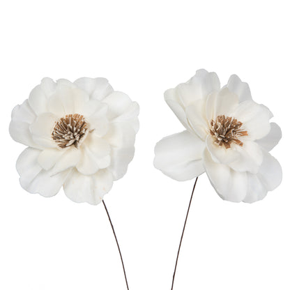 Vickerman Natural Botanicals 4" Natural Dried Anemone Sola Flower on 12" wire stem- 12 stem/polybag.