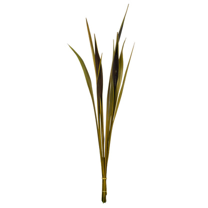 Vickerman 36-40" Basil Bahia Spears. Includes 18 Stems (2 - 9 Stem Bunches) Dried