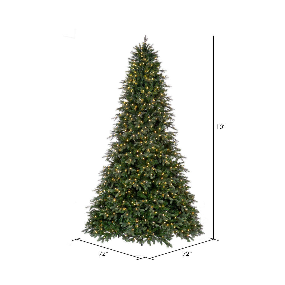 Vickerman 10' x 72" Douglas Fir Artificial Pre-Lit Christmas Tree Warm White LED Mini Lights.