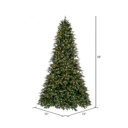 Vickerman 10' x 72" Douglas Fir Artificial Pre-Lit Christmas Tree Warm White LED Mini Lights.