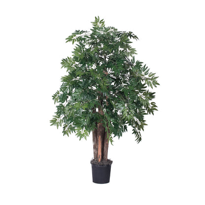 Vickerman 4' Artificial Ming Aralia Bush Black Plastic Pot.