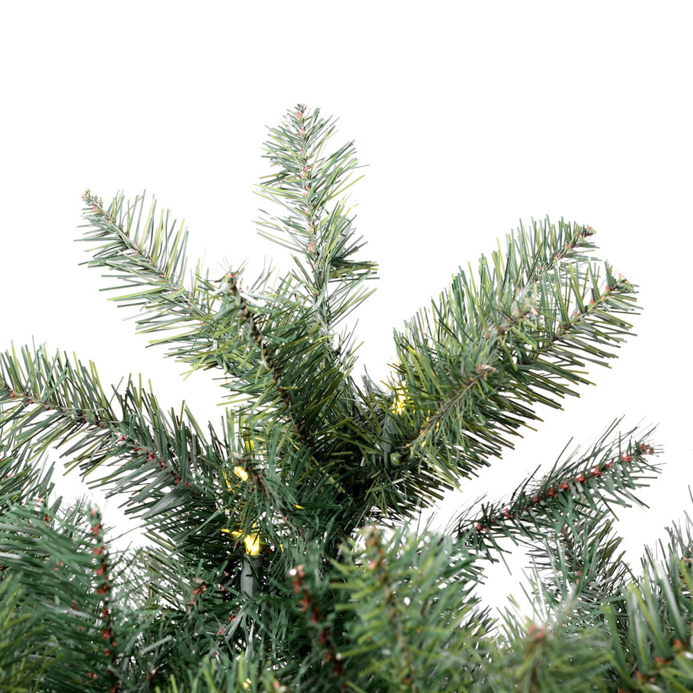 Vickerman 5.5' Salem Pencil Pine Artificial Christmas Tree Warm White LED Dura-lit Lights