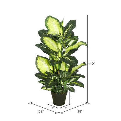 Vickerman 40" Artificial Green and White Dieffenbachia.