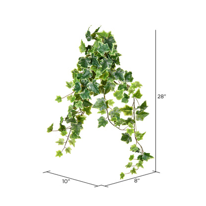 Vickerman 28" Artificial Varigated Ivy Hanging Bush Pack of 2
