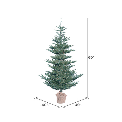 Vickerman 5' Alberta Blue Spruce Artificial Christmas Tree Unlit