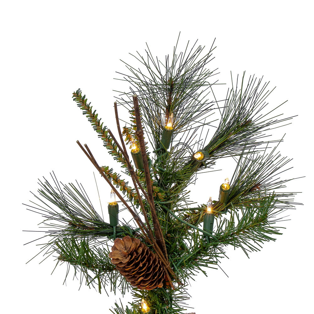 Vickerman 6' Ashland Artificial Christmas Tree Clear Dura-lit Incandescent Lights