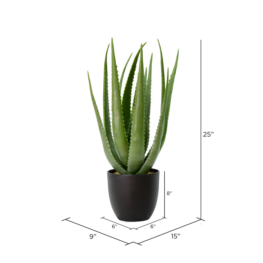Vickerman 25" Artificial Green Potted Aloe Vera.