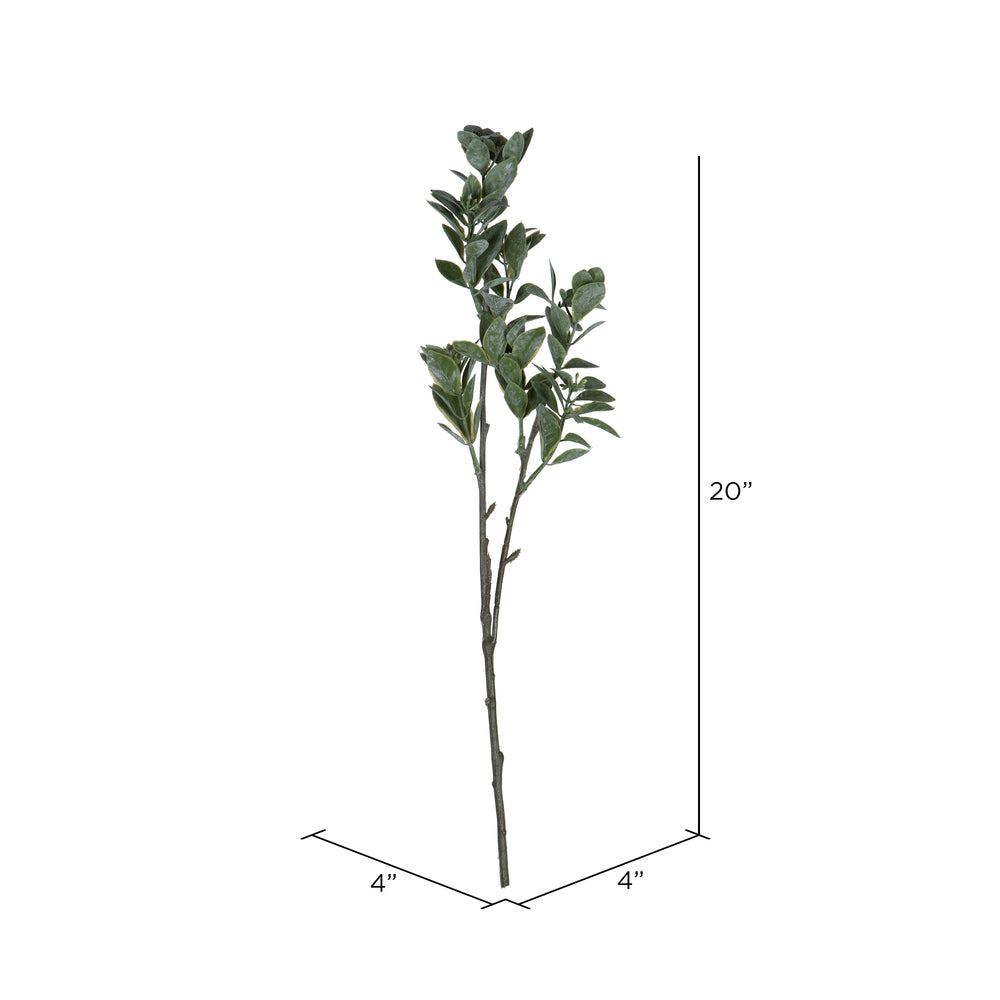 Vickerman 20" Artificial Green and White Aglaia Spray. Includes 6 sprays per pack.
