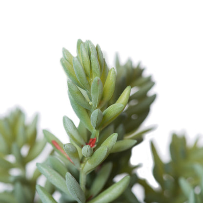Vickerman 8" Artificial Green and Red Sedum Pick Set of 3