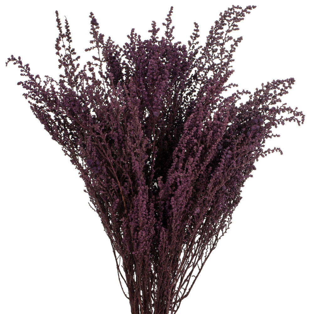 Vickerman 14-18" Violet  Stoebe Bundle