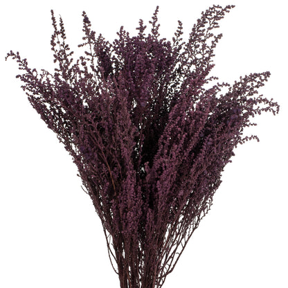 Vickerman 14-18" Violet  Stoebe Bundle