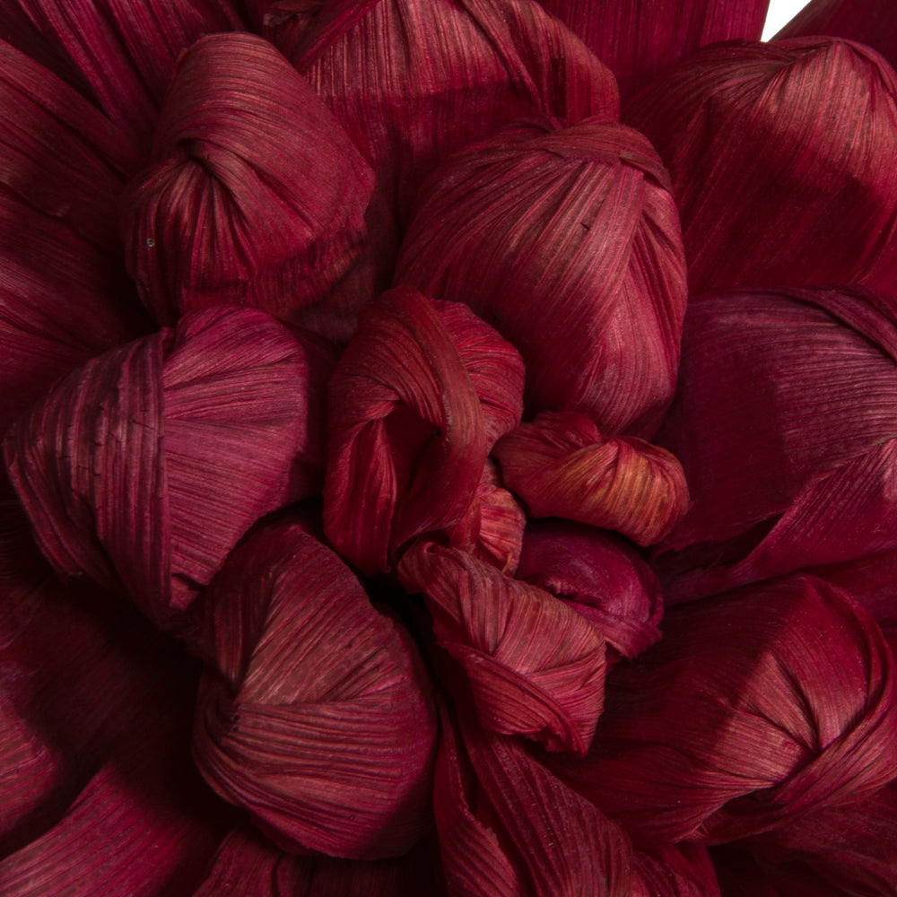 Vickerman Natural Botanicals 6" Bordeaux Maize Dahlia on 18" wire stem- 6 stem/bag. Dried and preserved.