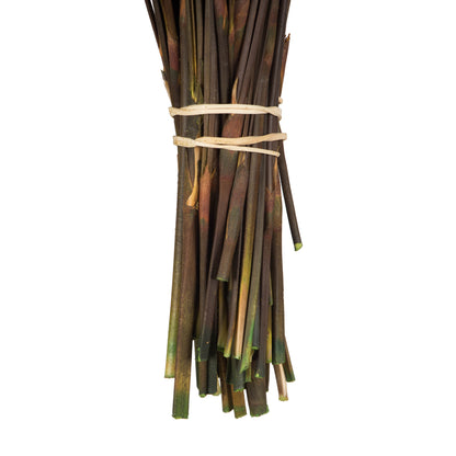 Vickerman 15-20" Short Stem Bell Grass with Autumn Colored Seed Pods. Comes Preserved.