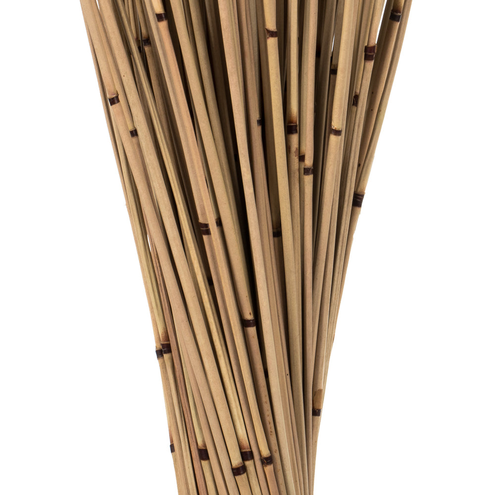 Vickerman 30" Natural Marsh Reed bundle tied with rafia 10 oz Dried