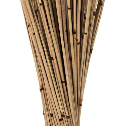 Vickerman 30" Natural Marsh Reed bundle tied with rafia 10 oz Dried