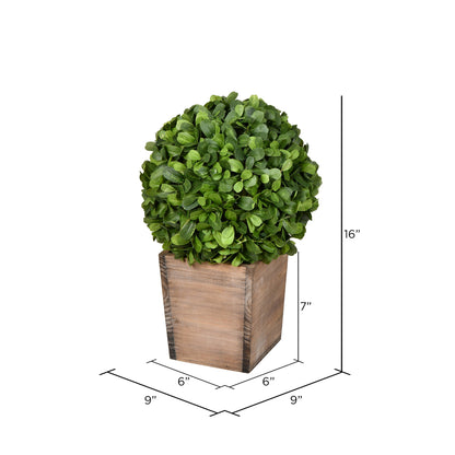 Vickerman 16" Artificial Potted Boxwood Ball in Wooden Pot.