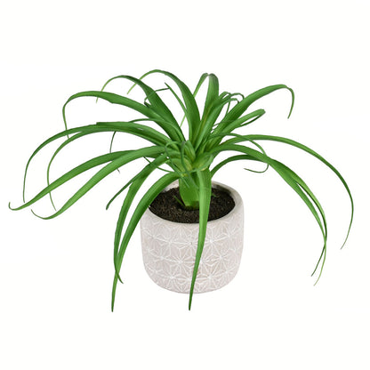 Vickerman 8" Artificial Green Succulent in Container2/pk