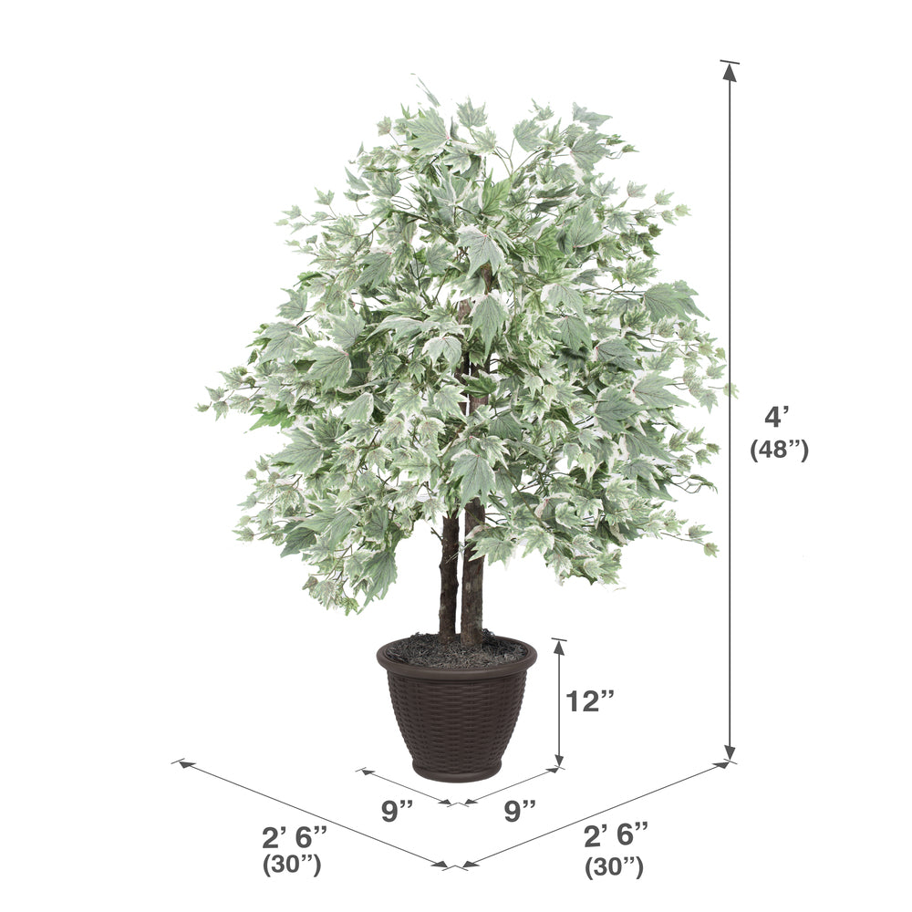 Vickerman 4' Artificial Silver Maple Bush Brown Plastic Container.