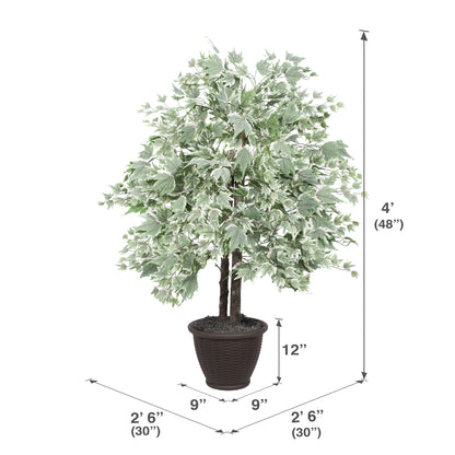 Vickerman 4' Artificial Silver Maple Bush Brown Plastic Container.