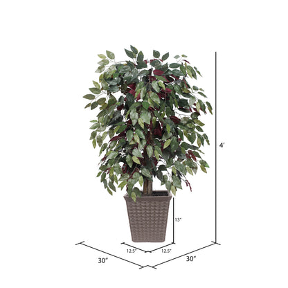 Vickerman 4' Artificial Capensia Bush Brown Square Plastic Basket.