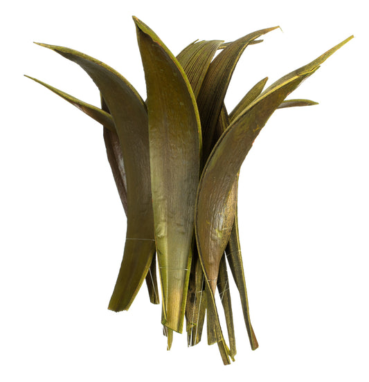 Vickerman 6-12" Basil Palm Paddles Includes 32-37 pieces Dried