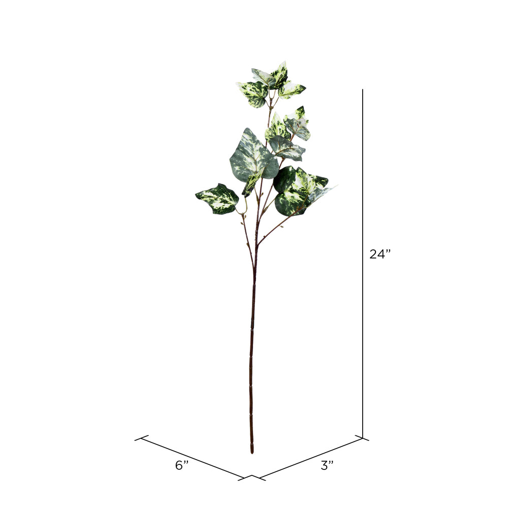 Vickerman 24" Artificial Green Variegated Ivy Spray. Includes 6 sprays per pack.