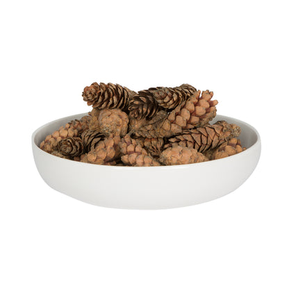 Vickerman Natural Botanicals 3.14" Strobus Small Natural. Includes 50 pieces per unit