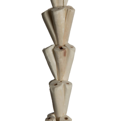 Vickerman Natural Botanicals 24" Natural Dried Sola Rajani Stick- 24 sticks/polybag. Preserved.