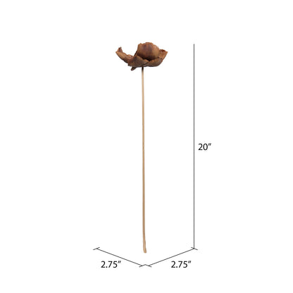 Vickerman Natural Botanicals 2.75" Palm Cap Natural on Stem. Includes 75 pieces per Pack.