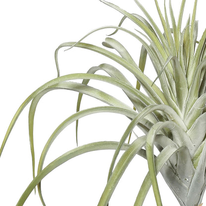Vickerman 14" Artificial Green Tillandsia Pick.