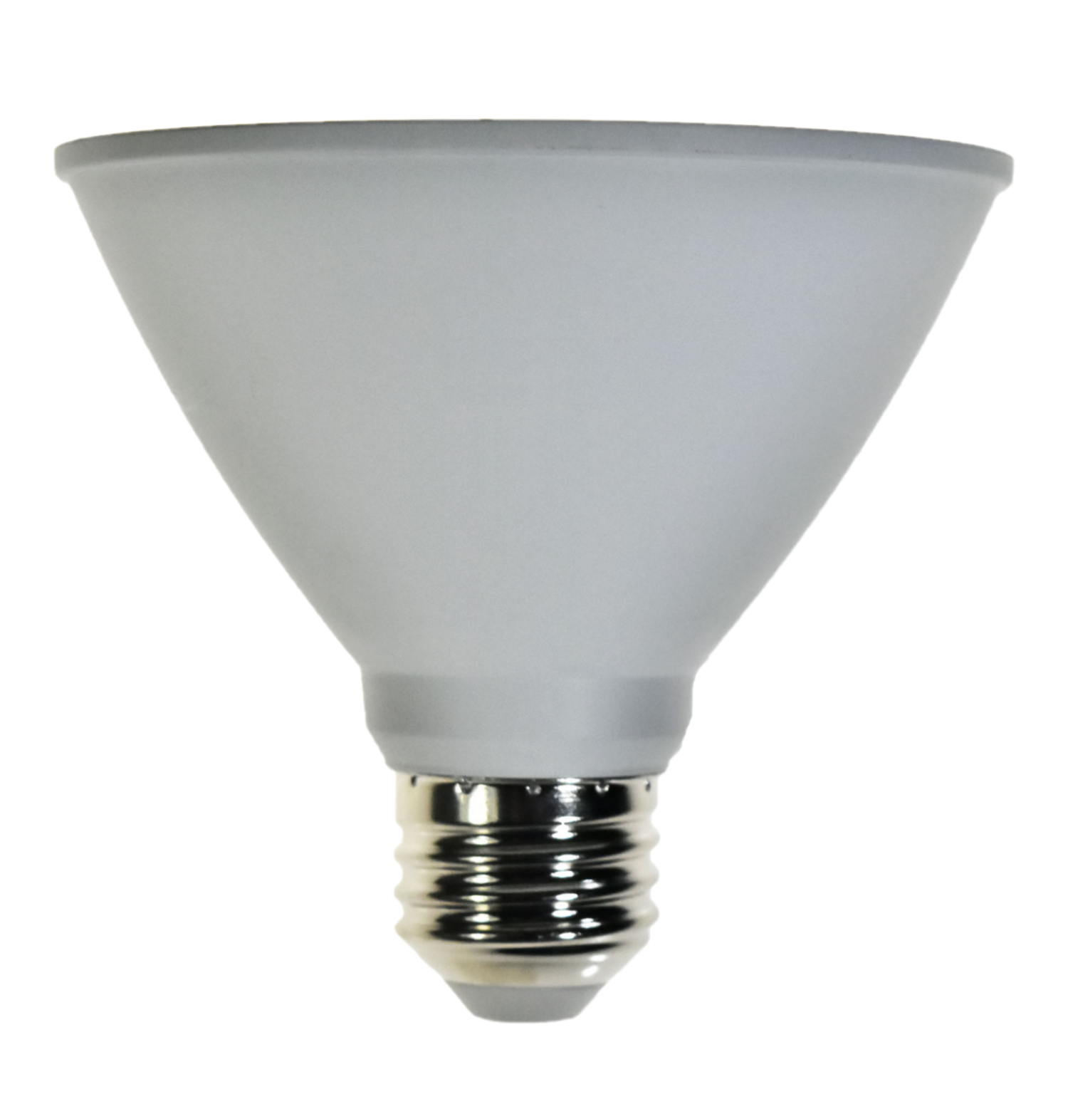 Damar PAR30 LED Flood Light Bulb