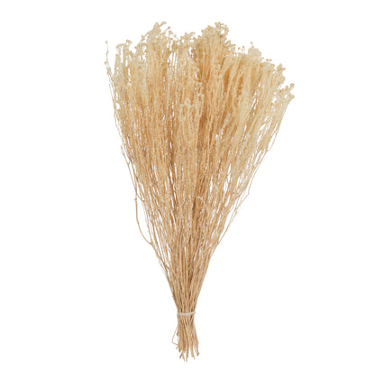 Vickerman Natural Botanicals  Staavia Bleached 100 grams per Unit