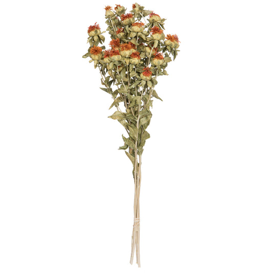Vickerman Natural Botanicals 22-26" Natural Autumn Dried Safflower 4 oz. Bunch