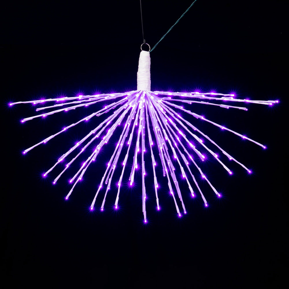 Vickerman 240Lt x 32" White Starburst Purple 5mm LED Lights.